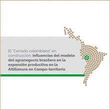 El “Cerrado colombiano” en construcción: influencias del modelo del agronegocio brasilero en la expansión productiva en la Altillanura en Campo-territorio